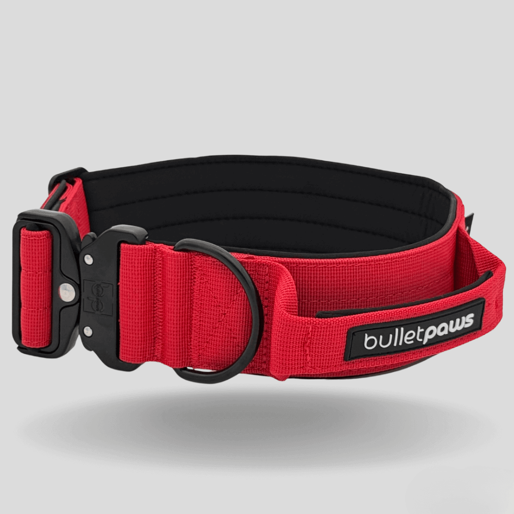 Alpha Hundehalsband® mit Griff - Rot - BulletPaws