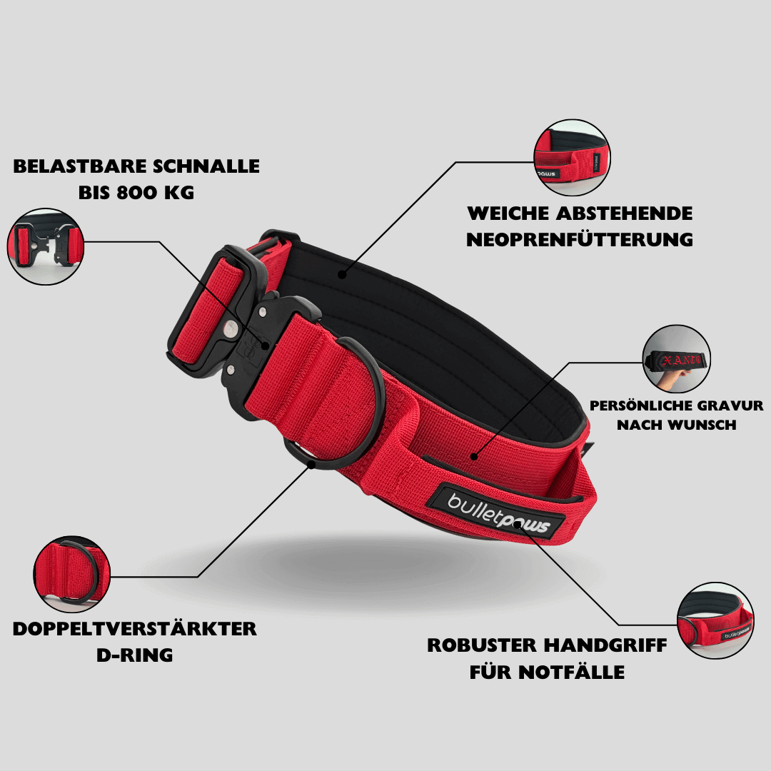 Alpha Hundehalsband® mit Griff - Rot - BulletPaws