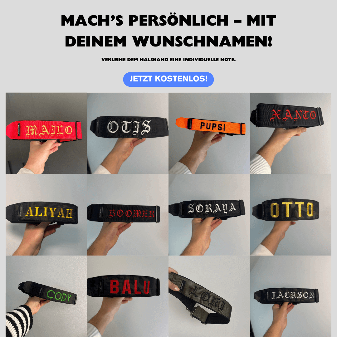 Alpha Hundehalsband® mit Griff - Pink - BulletPaws
