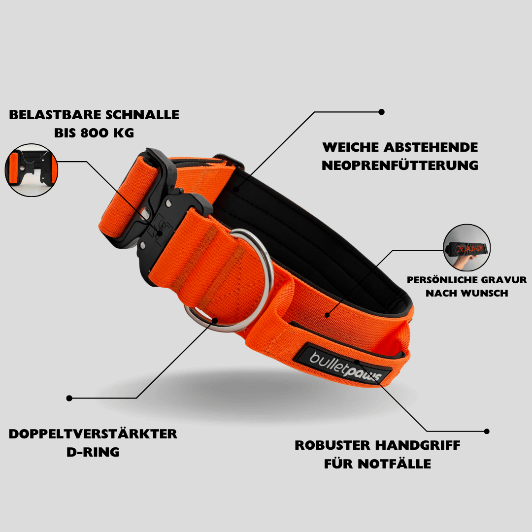 Alpha Hundehalsband® mit Griff - Orange