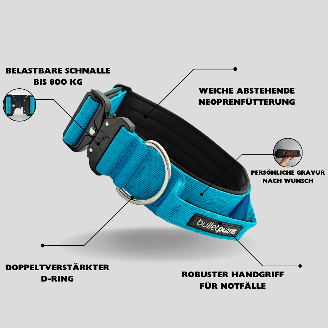 Alpha Hundehalsband® mit Griff - Babyblau