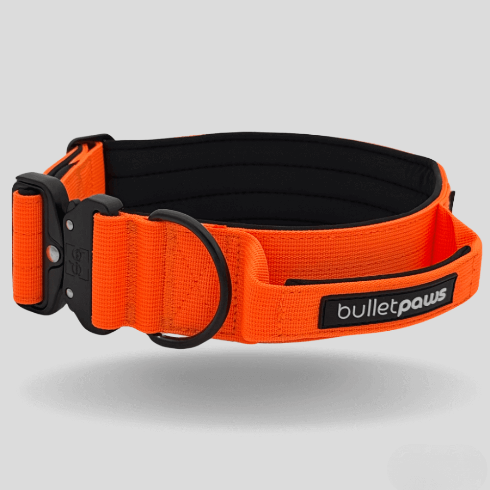Alpha Hundehalsband® mit Griff - Orange - BulletPaws