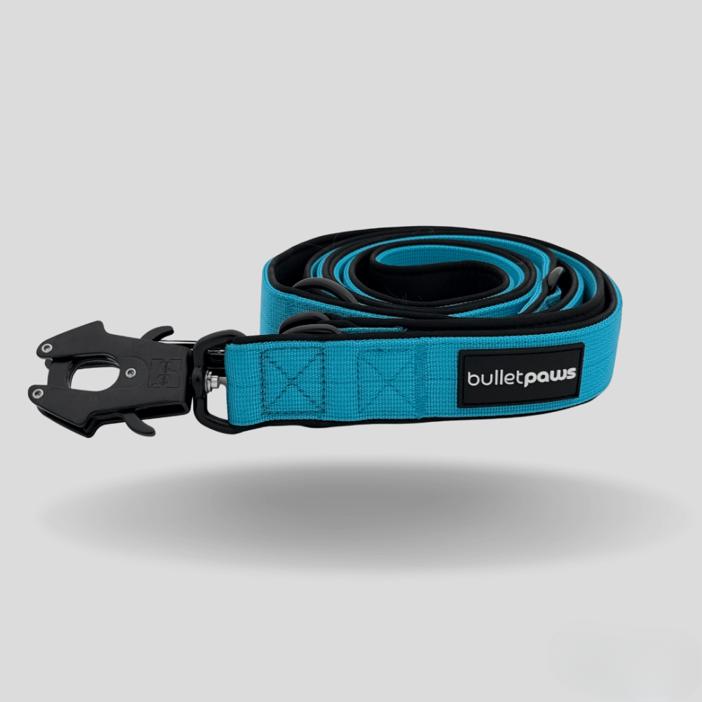 Dreifach verstellbare Hundeleine 2,2m - Babyblau - BulletPaws
