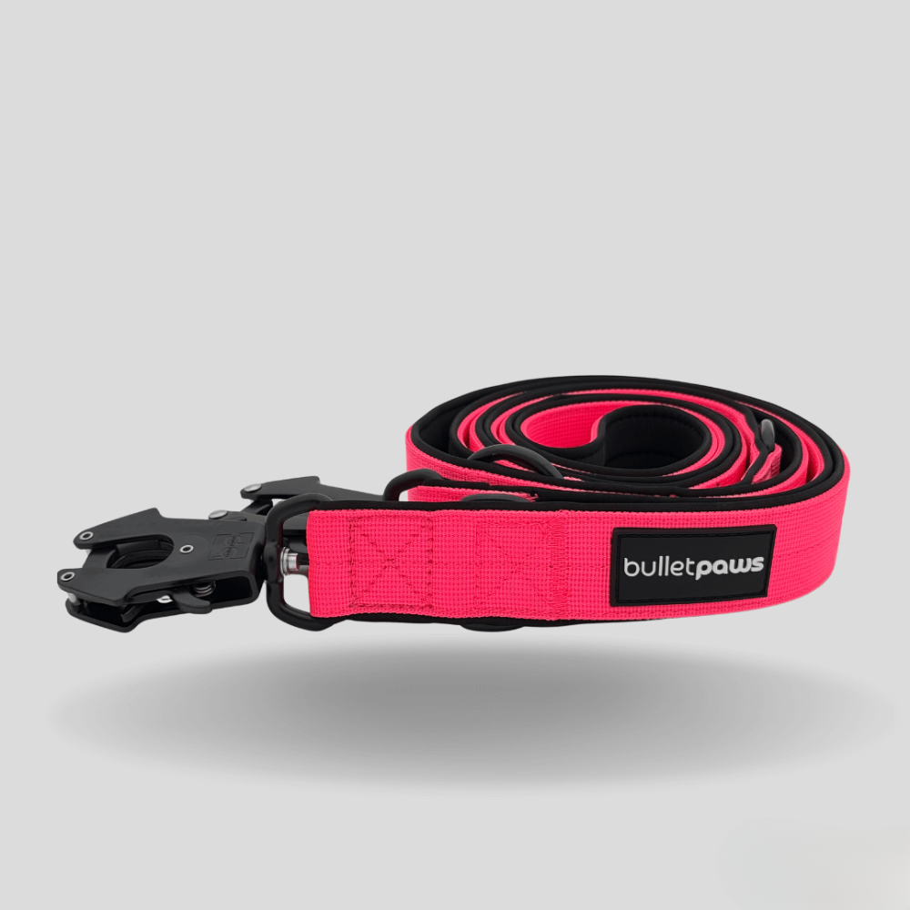 Dreifach verstellbare Hundeleine 2,2m - Pink - BulletPaws