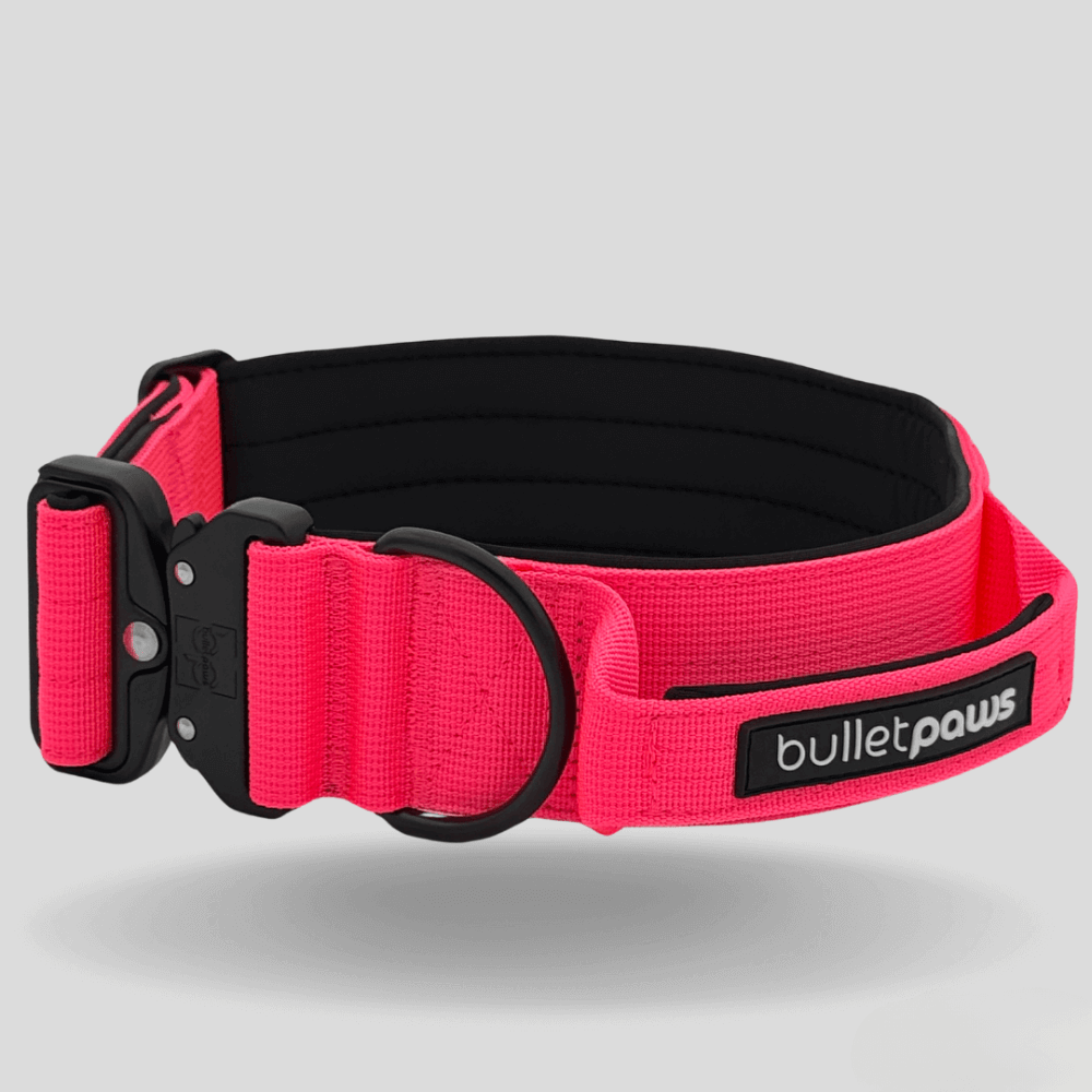 Alpha Hundehalsband® mit Griff - Pink - BulletPaws
