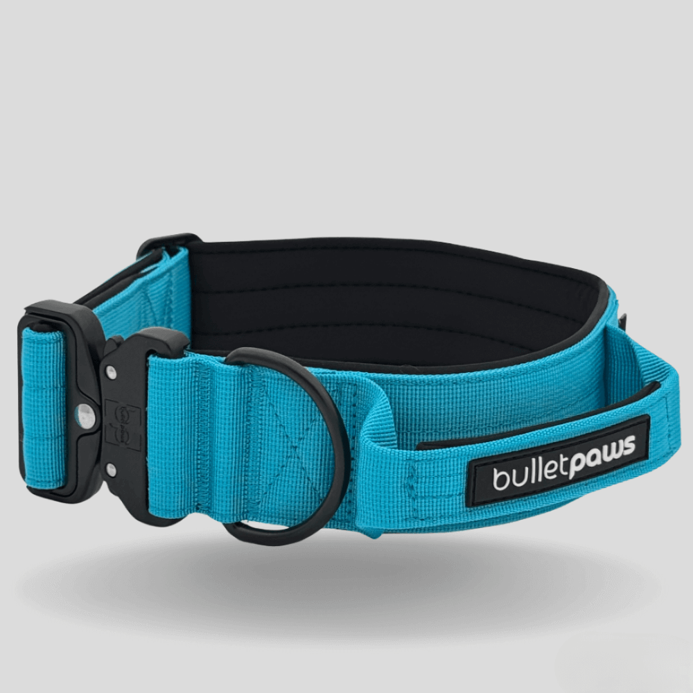 Alpha Hundehalsband® mit Griff - Babyblau - BulletPaws