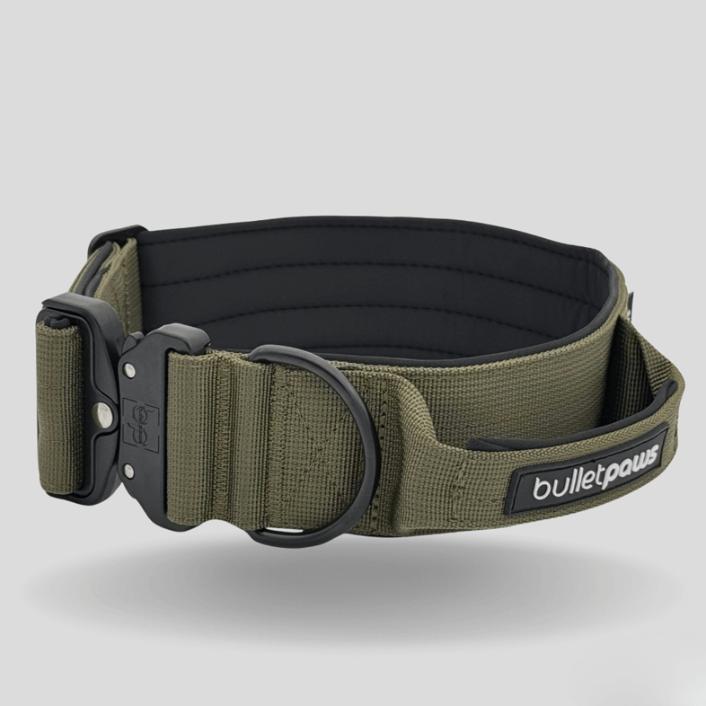 Alpha Hundehalsband® mit Griff - Khaki - BulletPaws