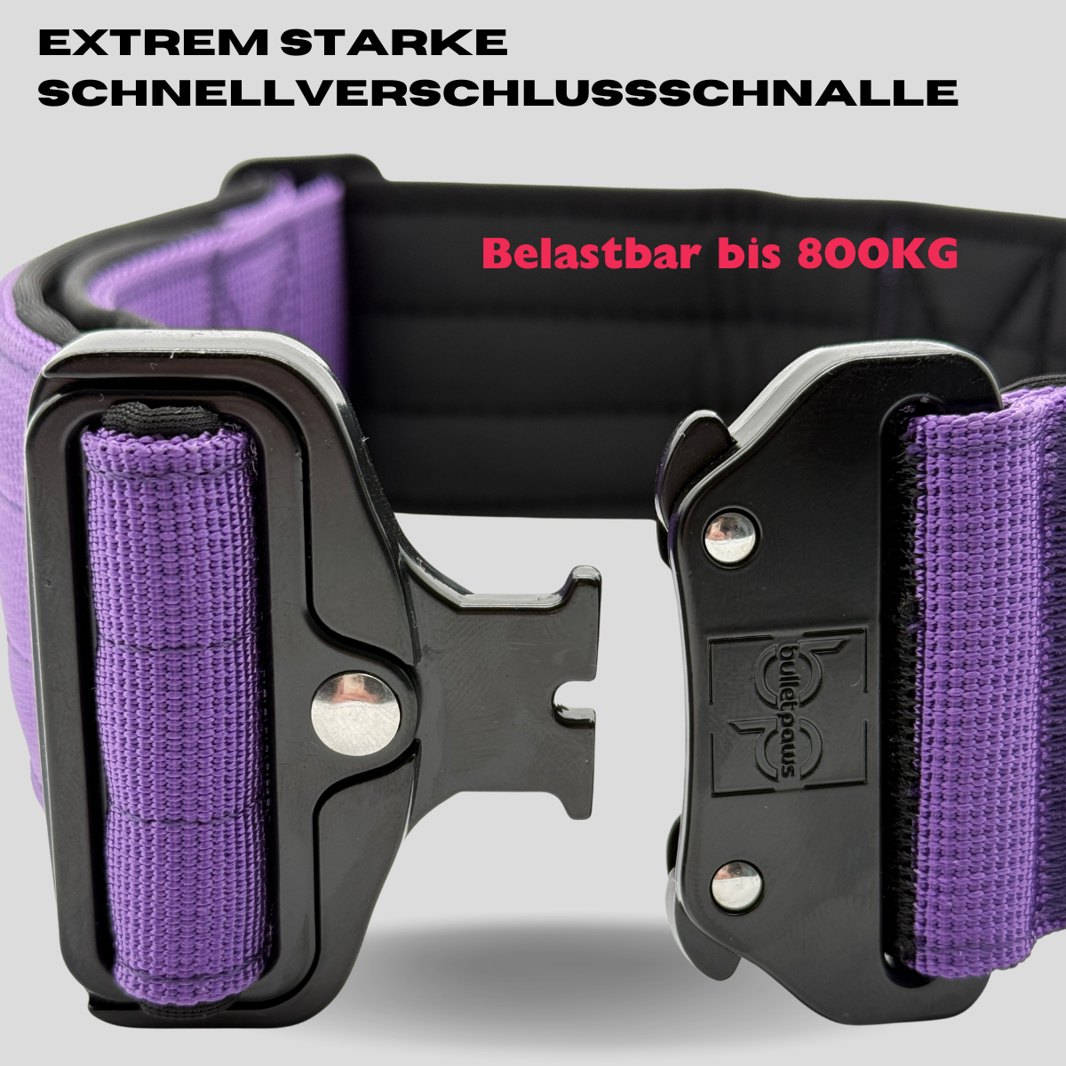 Alpha Hundehalsband® mit Griff - Lila