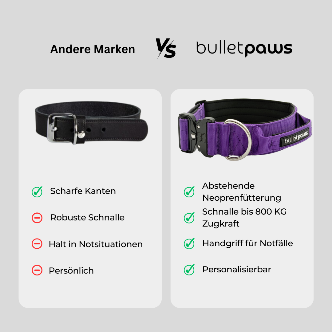 Alpha Hundehalsband® mit Griff - Lila