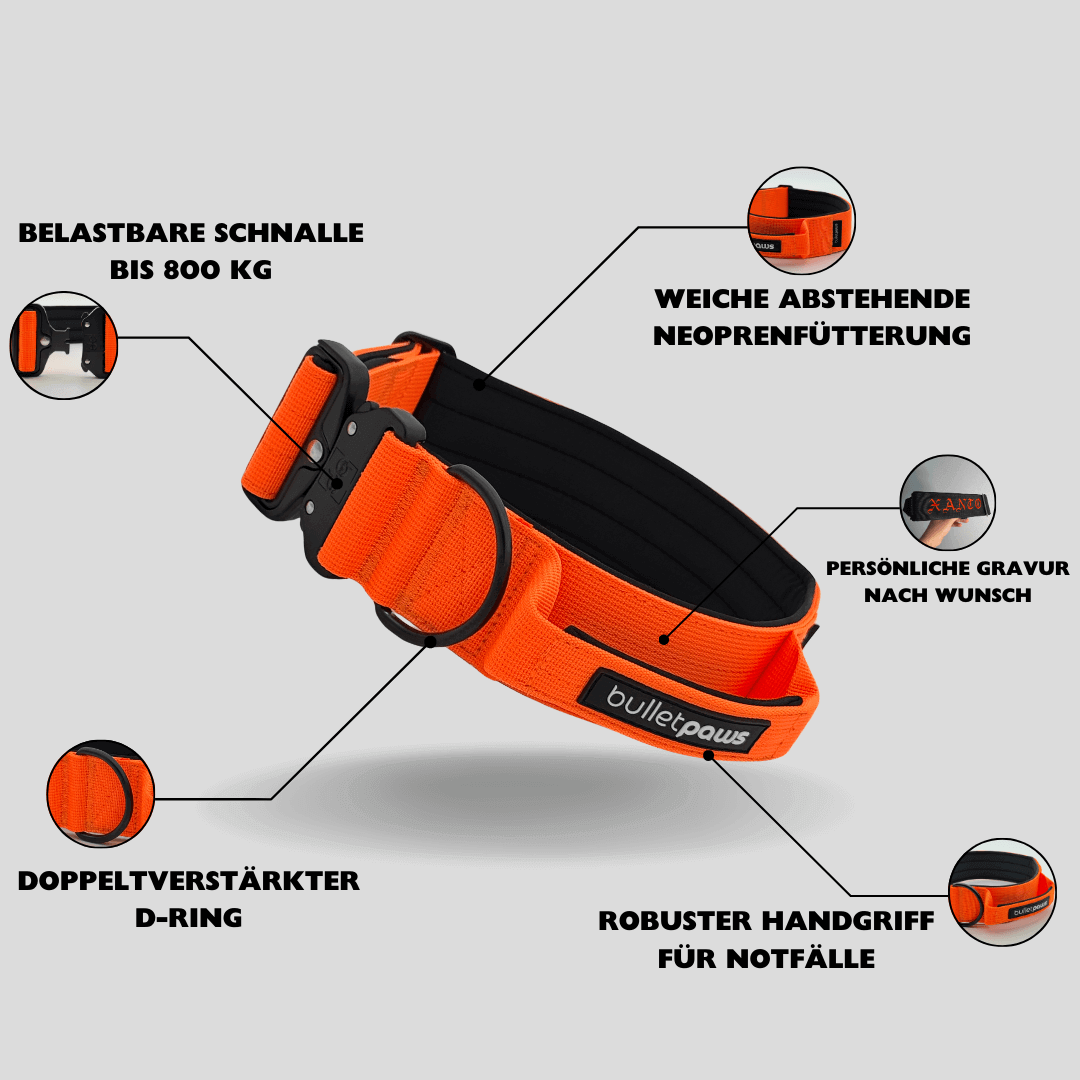 Alpha Hundehalsband® mit Griff - Orange - BulletPaws
