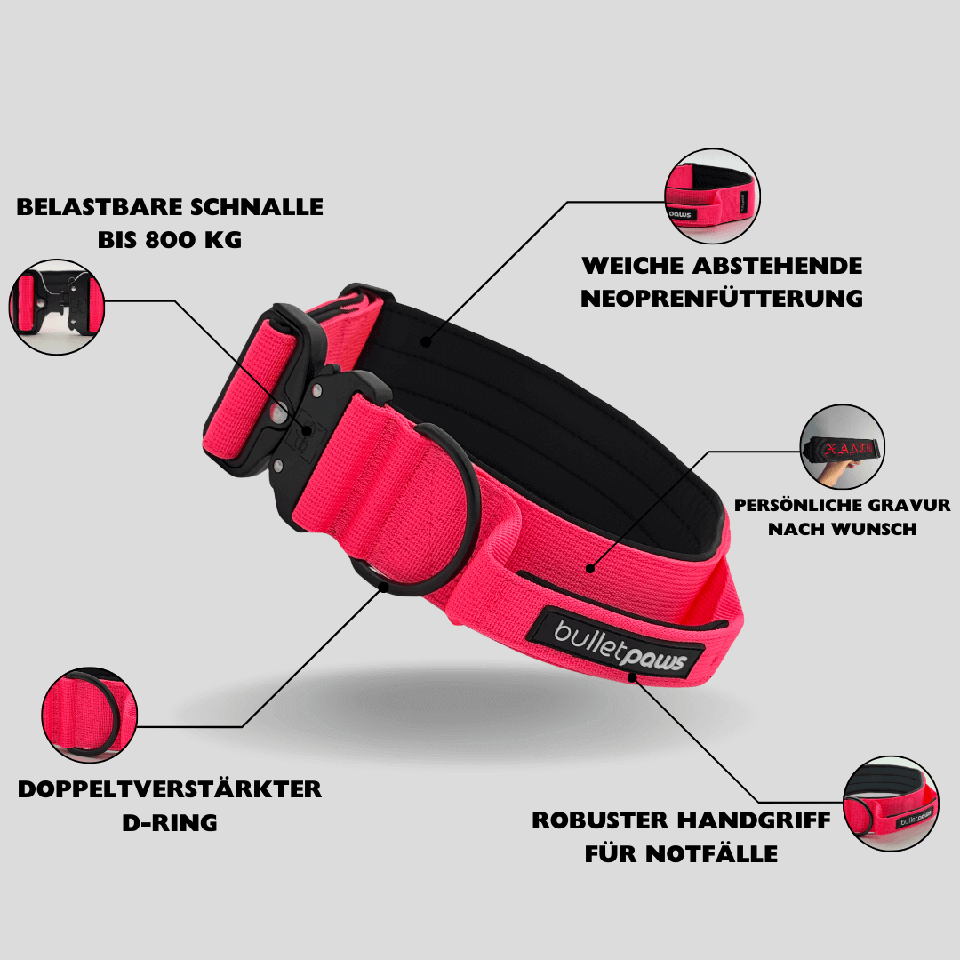 Alpha Hundehalsband® mit Griff - Pink - BulletPaws